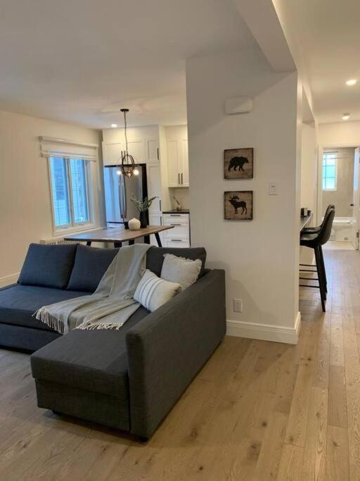 Free Parking, Beautiful 4 1/2- 2 Bedroom Apartment Montreal Exterior foto